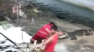 Мужик и крокодил прикол