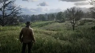 Red Dead Redemption 2 Max Settings - Hyper Realistic Graphic