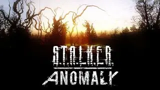 Stalker Anomaly Пропавший сталкер.Прохождение за одиночек.
