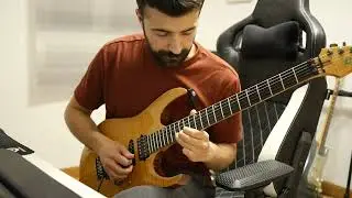 David Maxim Micic - Wrinkle Maze Guitar (Solo Cover)
