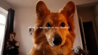 day in the life of a temporary dog mom