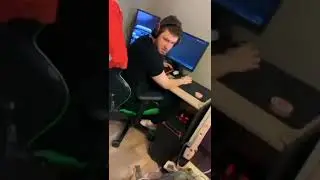 Кот выключил компьютер #Tik Tok #Shorts #Тик Ток #ПриколКоты #Catstiktok
