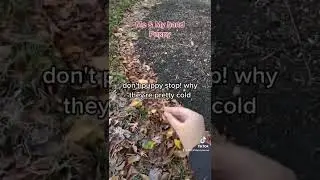 Puppies Go To School ￼Part 4￼