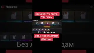 19 августа 2024 г.