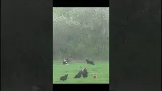 Дохвастался.