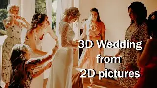 3D French Wedding from 2D pictures