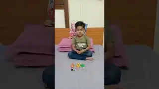 Animals Babies