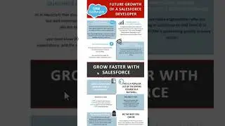 Salesforce Developer CRM software