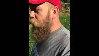 clover food plot
