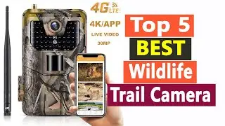 Top 5 Best Wildlife Trail Camera In 2021