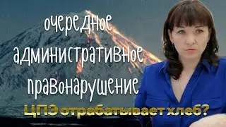 ЦПЭ отрабатывает хлеб?
