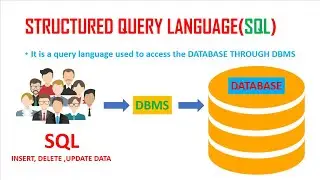 What is SQL in detail & its relation to DBMS | Learn To Code
