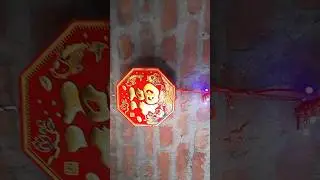 Electric Patakha #shortvideo #shorts #ytshort #youtubeshorts #youtube