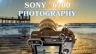 Sony A6700 - Photography | G-Lens 16-55mm & 70-350mm
