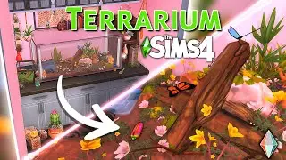 Sims 4 Speed Build: Terrarium