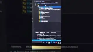 Quick tip adding stateful widget flutter 