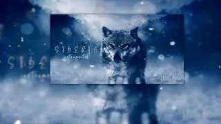 ❄ ＳＩＢＥＲＩＡ － ＩＮＳＴＲＵＭＥＮＴＡＬ Ａ ＬＡ ＶＥＮＴＡ － ＨＥＮＡＮＯ ＢＥＡＴＳ ２０２１ 🐺