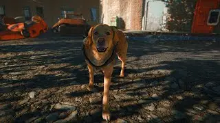 Meeting dogmeat (Fallout 4 PC modded gameplay)