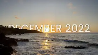 Home & Away / December 2022 / The Life & Times