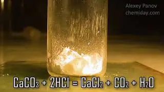 CaCO3 + 2HCl → CaCl2 + CO2 + H2O | Calcium carbonate react with hydrogen chloride