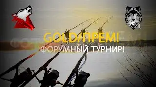 RF4! РР4! Русская Рыбалка 4! Региональное Форумное Состязание!)