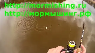 Мормышинг. Ловля красноперки на мормышку. Техника ловли. Часть 1 из 2.
