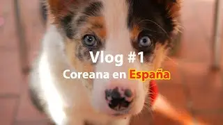Vlog Coreano #1 - Primer paseo de Somni, tapas y Barbacoa Argentina - Coreana
