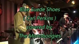 Blue Suede Shoes ( Carl Perkins ) - The Monoboogies
