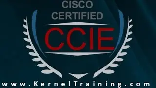 CCIE Certification Examination Training Tutorial