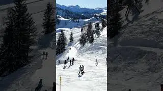 Just your average day on the ski resort...😳 