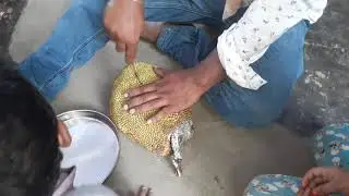 చివరి వరకు చూడండి🔥🔥🔥🔥