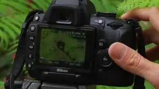 Nikon D5000 - Focusing in Live View