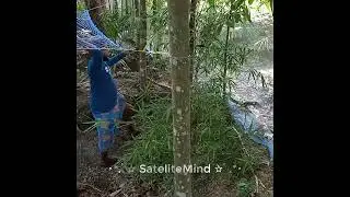 My Dad vs lizard🔥Battle