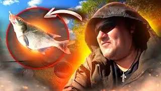 РЫБА КЛЮЁТ ТАМ ГДЕ ОНА ЕСТЬ.РЫБАЛКА НА ДОНКИ.fishing,bushcraft,nature,camping.