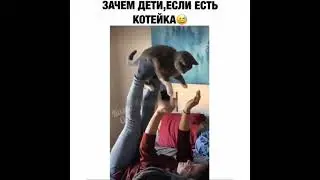 Зачем дети, когда есть котейка | Лучшие видео из Инстаграма