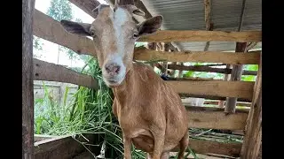 Mission Trip Farm Tour