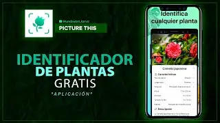 COMO SABER QUE PLAANTA ES LA QUE TENGO | PICTURE THIS APP @HundsvartJarva