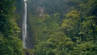 Journey to Guainía (Original Tribal Trap Song) [2023]