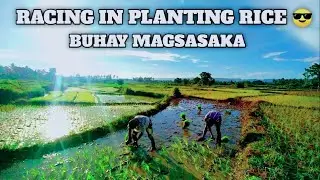 BUHAY BUKID | RACE IN PLANTING RICE | BUHAY MAGSASAKA