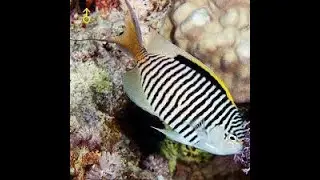 AQUARIUM OASIS