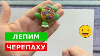 ЧЕРЕПАХА из пластилина. Как слепить черепаху. Лепим из пластилина.
