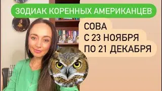 СОВА, рожденные с 23.11 по 21. 12- ваше тотемное животное# Зодиак коренных американцев# Тотем#