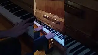 Khamzat Bekov - " Reflet"