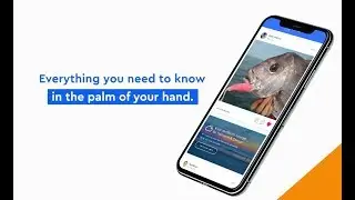 Fisho | The Must Have App for Aussie Anglers