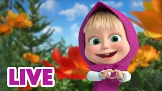 🔴 LIVE 🐻👧 Masha y el Oso 2024 🤗 Hazlo con la bondad 🎬 Masha and the Bear