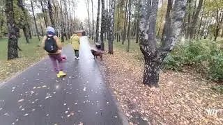 Красивая музыка. Intro  - С.Кузнецов ...