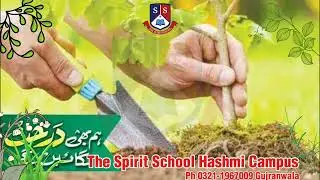 Plants day grow your plant #plants