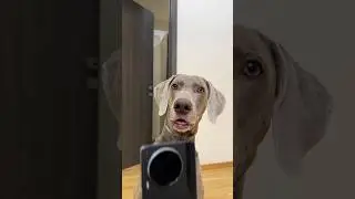 ОСКАР ИЗДЕВАЕТСЯ НАД ДЖОНИ 🥲