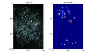 Deep Learning Fruit Segmentation - Mangoes