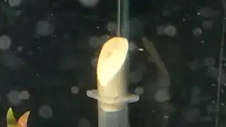 Wooden DIY CO2 Diffuser - Ahşap DIY CO2 Difüzör